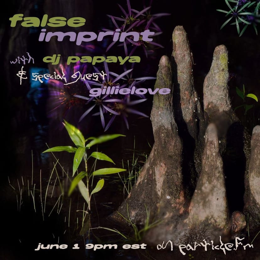 False Imprint w/ DJ Papaya + gillielove - Jun 1st 2026